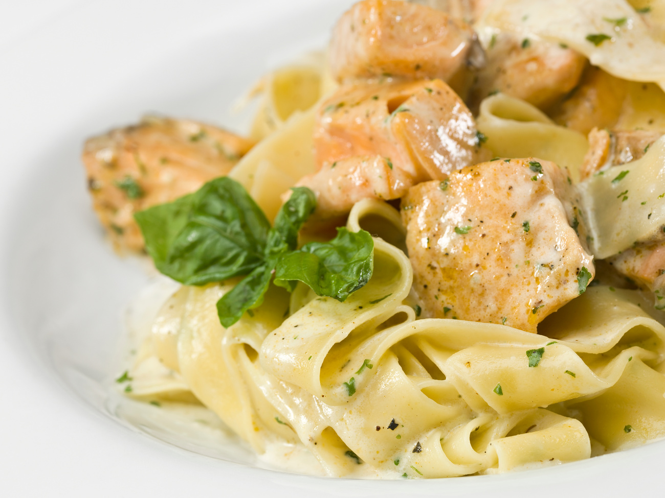 Salmon Tagliatelle