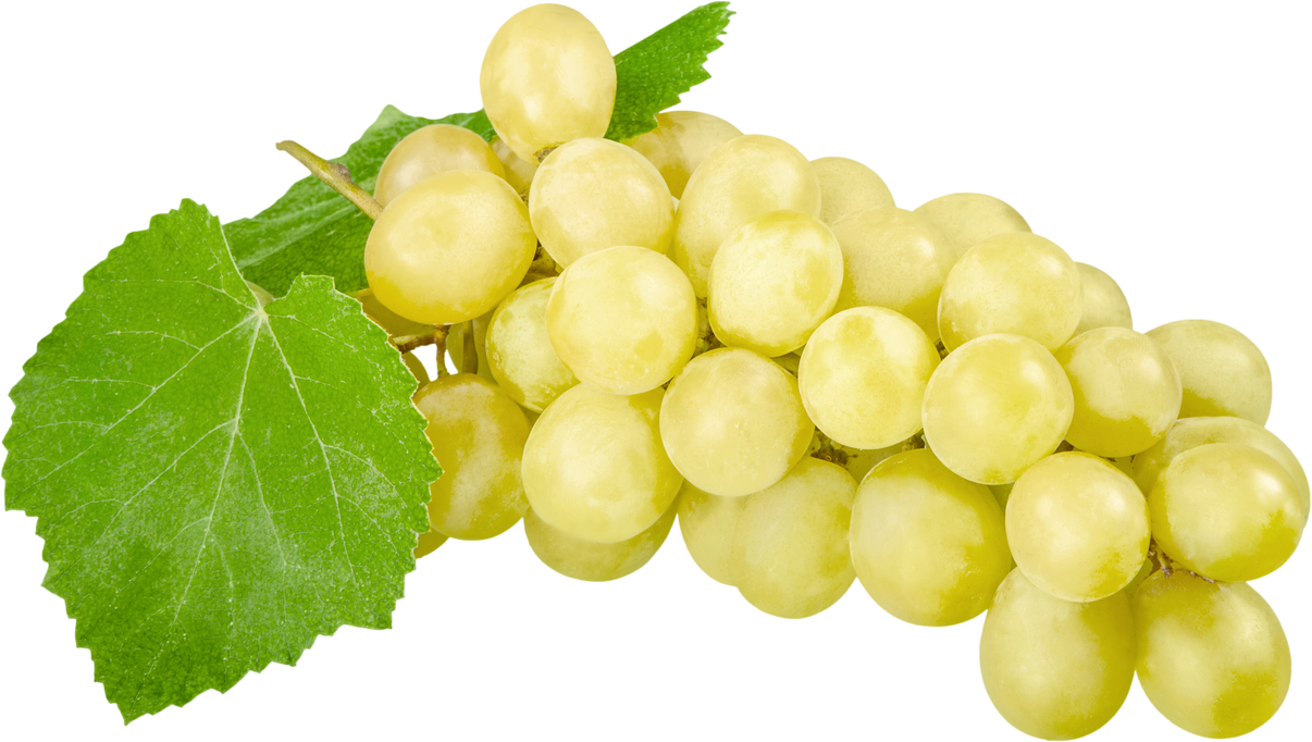 White Grape Cluster With Leaves - Isolated